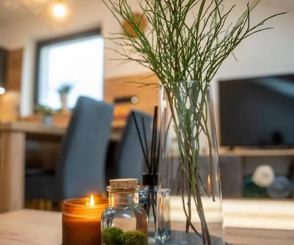 Appartement Lázeňské *